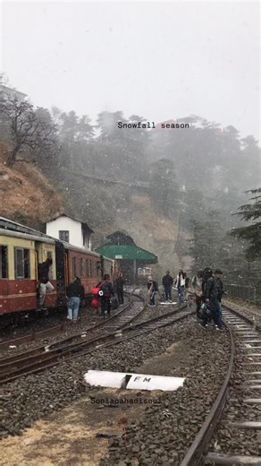 The main snow season in Shimla is from late “December to February”. The main snow season in Shimla is from late December to February, with January being the peak month for snowfall. While it can sometimes snow in early December or early February, the most reliable time for a heavy snowfall experience is January. . . . SHIMLA Shimla snowfall Shimla travels Snowflake Snowfall Himachal Snowfall update Shimla snowfall update . . . #shimla #trending #shimlamallroad #shimladiaries #reels #shimla❤️ #sh