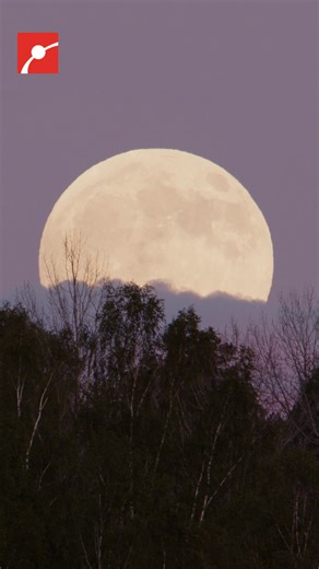 Museum of Science on Instagram: "The first supermoon of 2026 will rise big and bright, about 14% larger and nearly 30% brighter than a typical full moon. 🌕🐺 On January 3, the Moon reaches perigee, its closest point to Earth, capping off a rare streak of four supermoons in a row. Bonus: the Quadrantid meteor shower peaks the same night, sending bright fireballs across the sky. #Supermoon #MeteorShower #SkyWatch #Astronomy #Space"