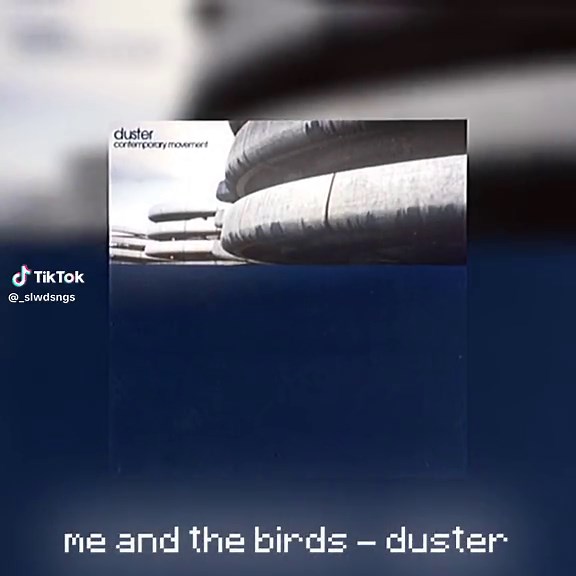 Duster Song Slowed and Reverb - Me and the Birds