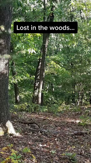 Lost in the Woods - Survival Tips with Visible Wireless