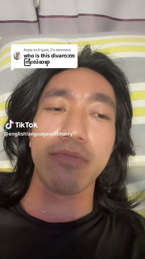 Who is This Diva? Exploring the Meme Phenomenon