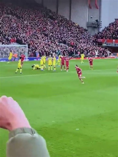 问女何所忆索博斯洛伊圆月弯刀再度游龙利物浦主场1比0领先热刺 #soccer #football