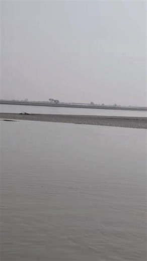 reva reva 😂😂😂😂😂😂😂