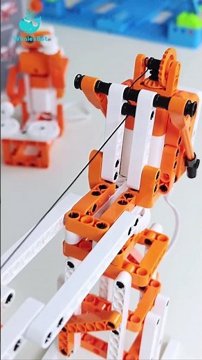 Build your own tower crane with WhalesBot Smart and learn about engineering, physics, and coding!