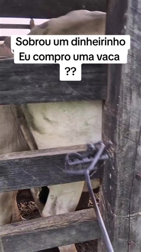 Os vídeos de Dudu_creu (@dudu_creuu) com som original - alanporsche911