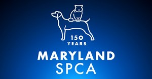 Maryland SPCA Running Low On Supplies, Seeking Donations For Dogs - CBS Baltimore