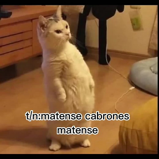 gene☄️ on TikTok