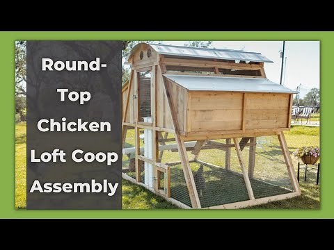 How to Build the Round-Top Chicken Loft Coop | Roost & Root