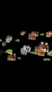 These babies don't mess around 💯