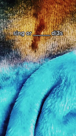 sing or _____ dies owner 1 #zodiac #sign #zodiacsign #fyp #sorryaboutflashingscreen