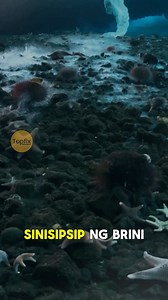 Finger of Death! #BRINICLE #ice #frozen #oceanlife #MarineLife | Topfix