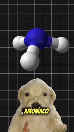 Los cristales de 4chan #polemica #4chan #terror #polemica #4chan