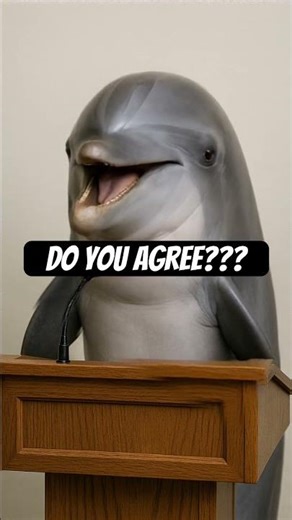 Dolphin shares what he thinks about SpongeBob 😂