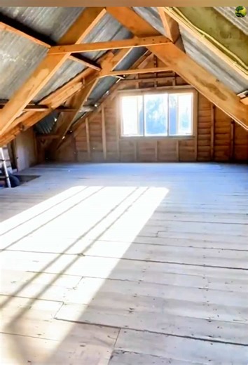 Renovating an Abandoned Wooden House: Before and After