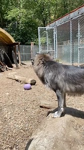 6.8K views · 1K reactions | Today is officially the first day of...