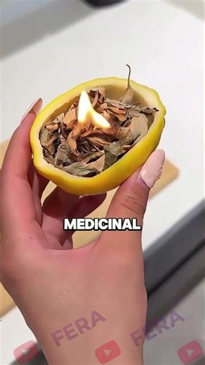 Get Rid of Mosquitoes by Doing This 😳🦟