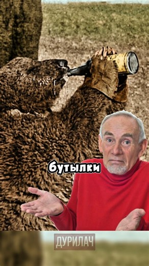 Медведь который стал капралом🎖️🐻 #история #факты #животные #медведь