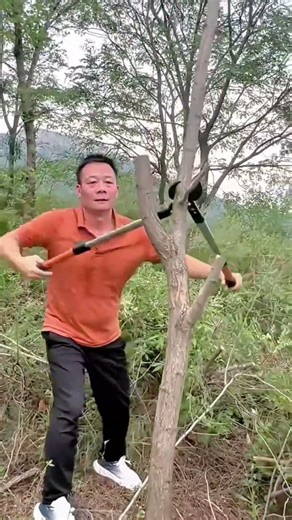 Effortless Pruning Heavy Duty Loppers Making Clean Cuts on Thick Branches