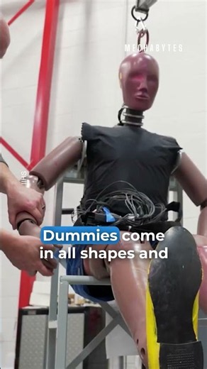 A Day In The Life Of A Crash Test Dummies | The Modern Dwelling