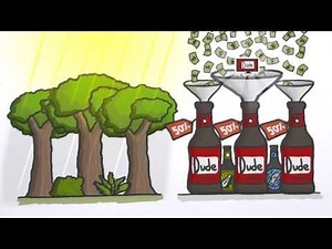 Microbreweries and Ferns Have A Lot In Common