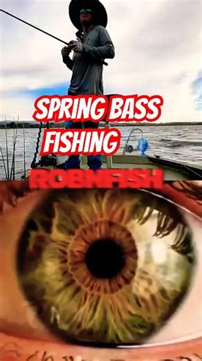 Largemouth bass spring time fishing