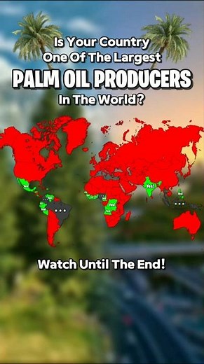 Is Your Country One Of The Largest Palm Oil Producers In The World?