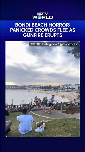 Bondi Beach Attack | Panicked Crowds Flee As Gunfire Erupts At Iconic Sydney Hotspot