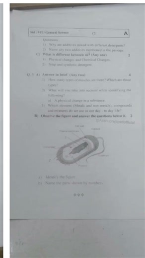 question paper of science class 7 3 unit test paper #questionpaper #testpaper #questionpaper