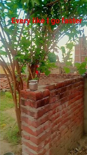 Transform Your Home with Smart Gadgets 🔧 | Must-Have Tools 2024 #shorts