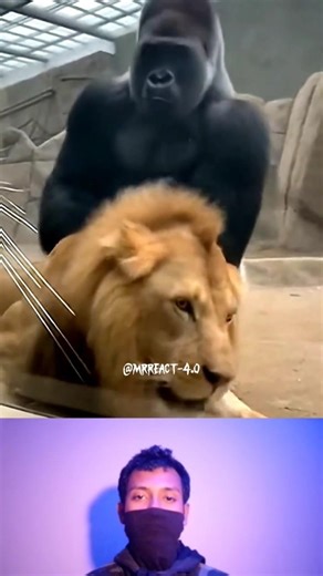 wait for end #montagem #kris