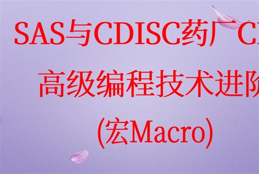 SAS与CDISC药厂CRO 高级编程技术进阶 (宏Macro)视频课程-宏函数与宏程序
