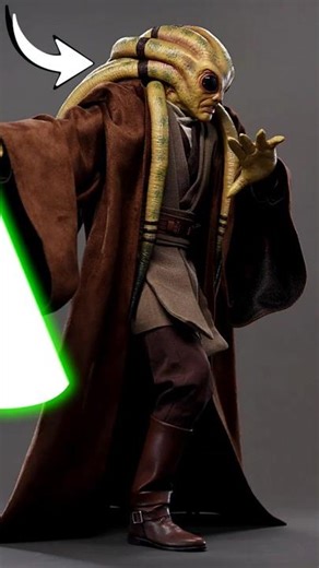 Why Mace Windu brought THESE Jedi?