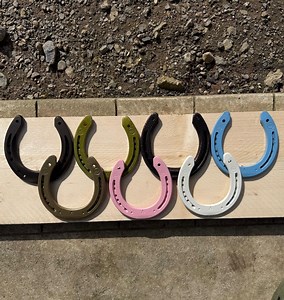 Horseshoe Keepsake Wedding Good Luck Gift - Etsy Canada