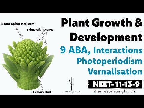 ABA, Photoperiodism, Vernalisation | Plant Growth & Development 9 | NCERT Mapped NEET Biology