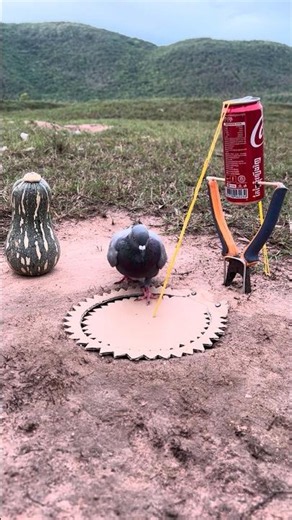 Bushcraft Skills: Smart idea and Useful #Outdoors #camping #useful #bushcraft #survival