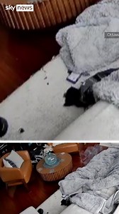 A dog started a fire by chewing through a heated glove powered by a lithium-ion battery. Luckily for the dog and its owner, the blaze was extinguished and the animal was rescued unharmed. | Sky News