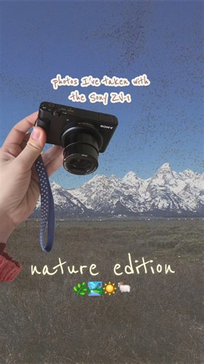 Nature photos with the Sony ZV-1 🌿🏞☀️🐏 #photography