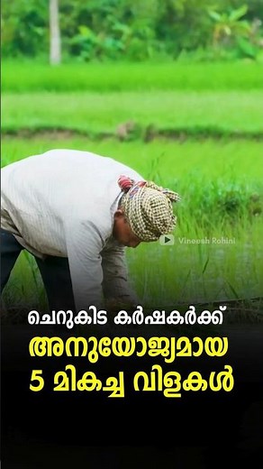 Top 5 Crops for Small Farmers | Best Low-Space Farming Ideas | 5 Profitable Crops