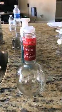 How to kill springtails