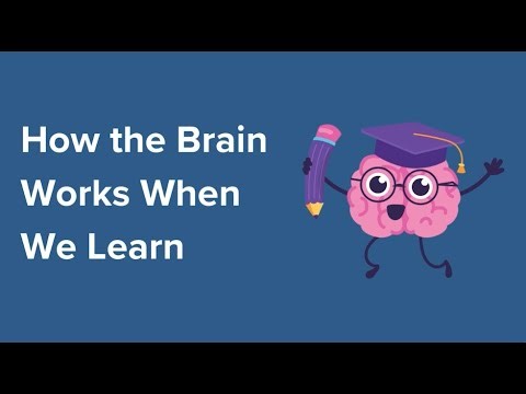 How the Brain Works When We Learn