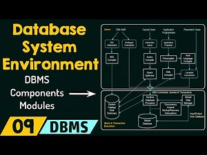 Mind Luster - Learn Database System Environment