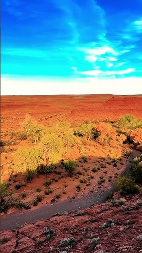 Morning Light Over an Arizona Oasis | Quiet Desert Escape