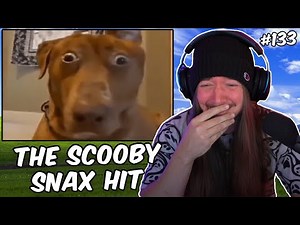 If I Laugh, The Video Ends #133