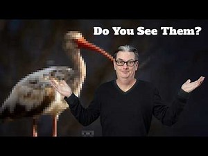 Can you see the three mistakes I made in this photo?