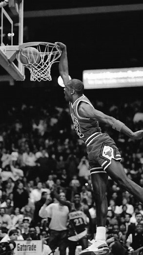 Michael Jordan Live Wallpaper!