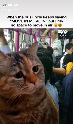 Singapur Bus Uncle Memes: Relatable Moments