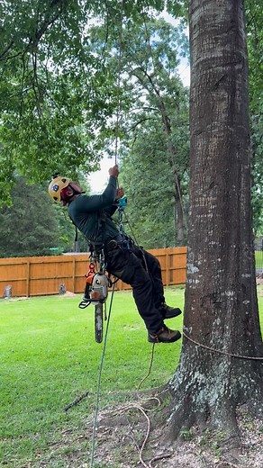 Srt #experttreeservices #roperunervertc #safetyfirst | Carlos Villanueva