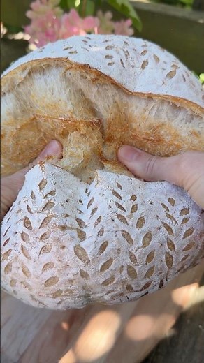 Sourdough bread ASMR | crispy crust, crunchy bread sounds and open crumb