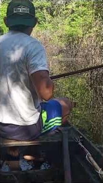PIAU NA FLECHA 😱🏹Pescaria no Igapó da Amazônia