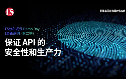 保证API的安全性和生产力 — 客户端防御